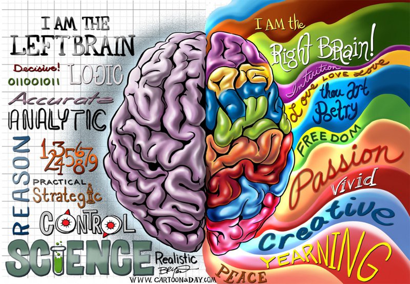 Brain